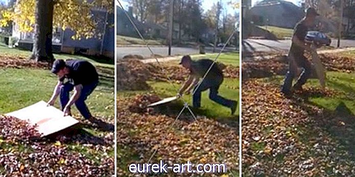 поради щодо чищення - Цей розумний трюк миттєво очистить ваш газон від небажаних листя
