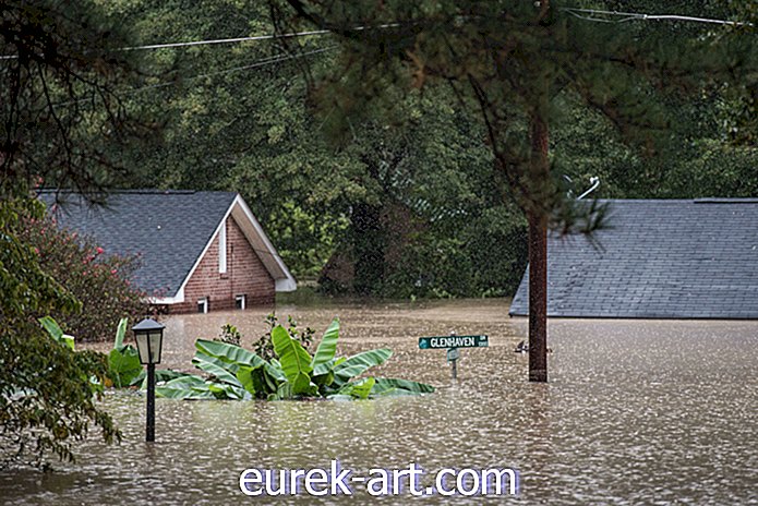 podeželsko življenje - 10 neverjetnih fotografij poplave Južne Karoline "Tisočletje"