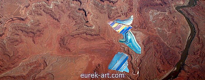 Тези цветни водоеми в Юта са неочаквано красиви