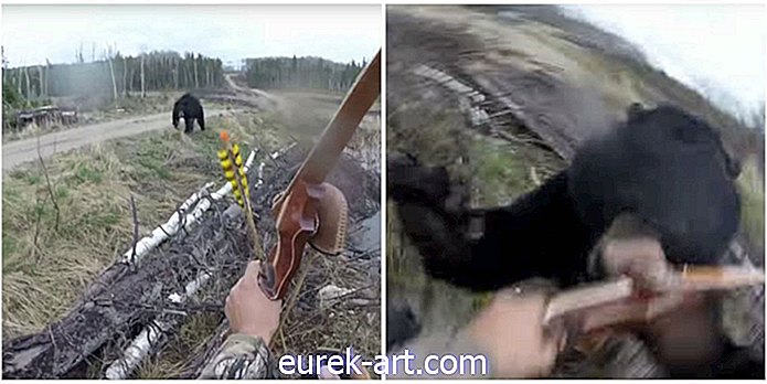 Šis video par melno lāci, kurš uzlādē mednieku, ir absolūti drausmīgs