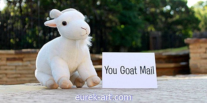 Perkhidmatan Baru Genius ini membolehkan anda menghantar kambing sumbing kepada rakan untuk mencerahkan hari mereka