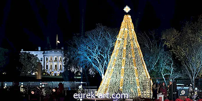 Ecco come puoi vedere l'illuminazione dell'albero di Natale nazionale
