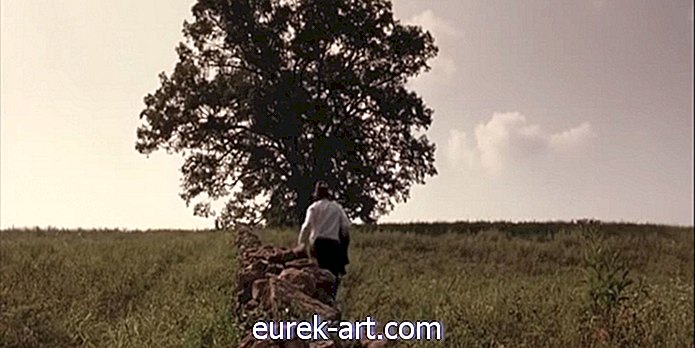 전원 생활 - 'Shawshank Redemption'의 유명한 200 년 된 오크 나무는 더 이상 없다