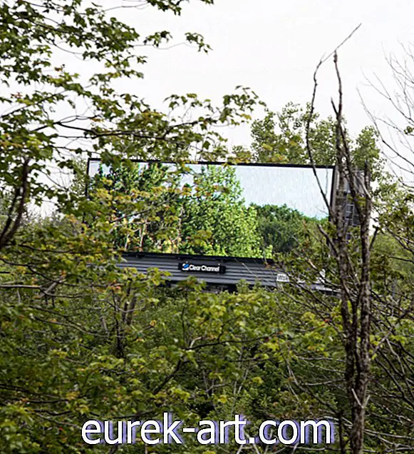 Погледајте како овај уметник камуфлира билборде аутопута са призорима природе