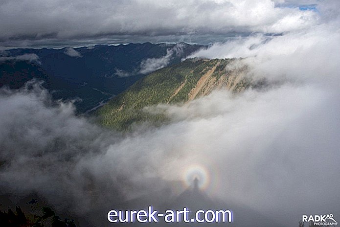 Virš Rainier nacionalinio parko danguje neseniai įvyko kažkas nuostabaus