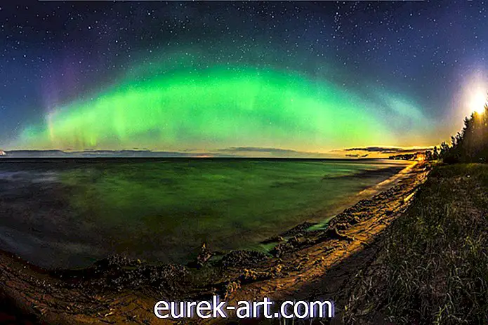 vida no campo - Há outra chance de ver a aurora boreal hoje à noite