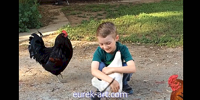 Ovaj virusni videozapis malog dječaka zagrlivši piletinu za kućnog ljubimca učinit će vam dan