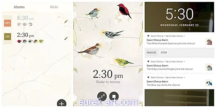 şehir hayatı - Bu Genius Mobile App ile Kuşlar Korosu'na Uyanın