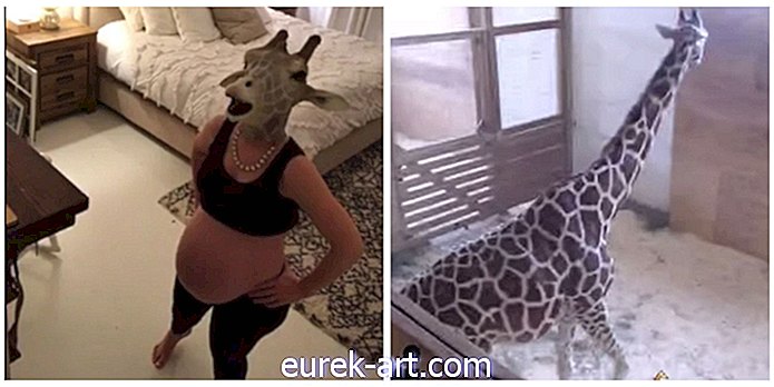 REGARDER: Parodies de femme enceinte #GiraffeWatch dans une vidéo virale hilarante
