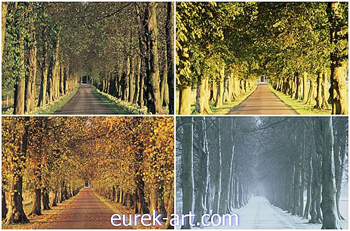 cuộc sống nông thôn - Trước và sau: 7 phong cảnh biến đổi hoàn toàn theo mùa thu