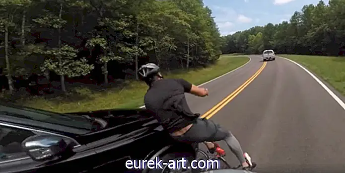 vita di campagna - Questo video sorprendente cattura il momento in cui un pilota colpisce un ciclista in un colpo a segno