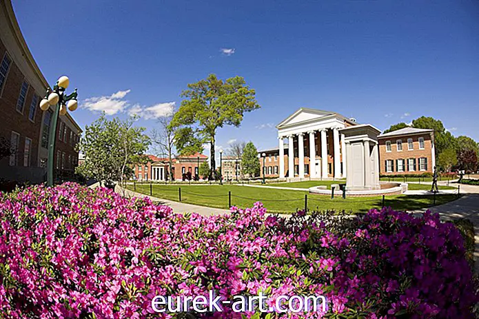 сеоски живот - 25 најлепших факултетских кампуса на југу