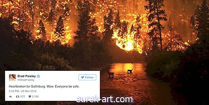 Звезды Кантри выражают свои соболезнования в связи с пожарами в Восточном Теннесси