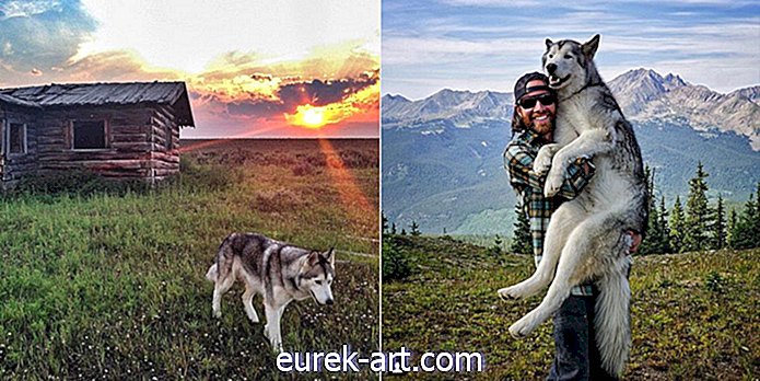 Landleben - Mann nimmt seinen Wolfshund auf epische Abenteuer, weil Tiere nicht zu Hause eingepfercht werden sollten