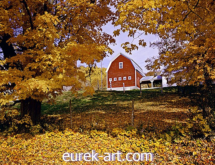 vidéki élet - 47 őszi idézet, hogy emlékeztesse, milyen csodálatos ősz