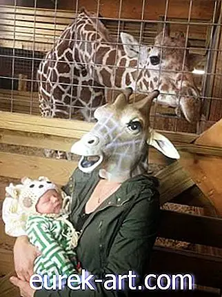 Girafa Mama s-a întâlnit în sfârșit cu aprilie Girafa și fotografiile sunt isterice