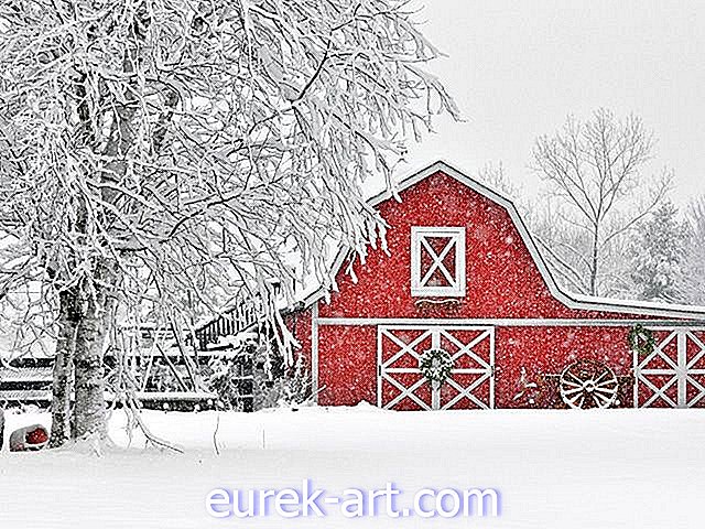 Sezonu kutlamak için 10 güzel karlı kırmızı ahır fotoğrafları