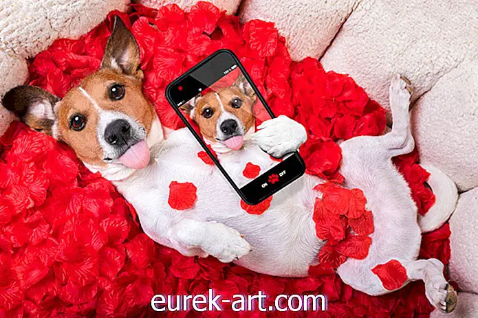 Hơn 30 chú thích trong ngày Valentine cho Instagram thật dễ thương mà không bị phô mai