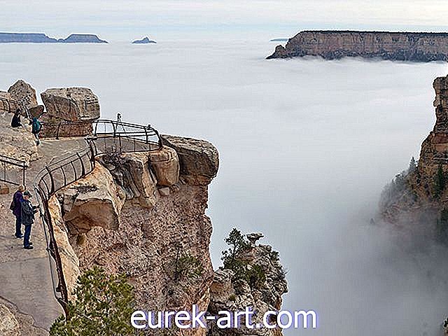 Landleben - Dieses seltene Wetterphänomen verwandelte den Grand Canyon in ein atemberaubendes Wolkenmeer