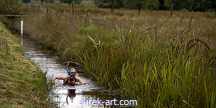 Schnorcheln im Sumpf: Sehen Sie die Leute, die am Wochenende im Schlamm geschwommen sind