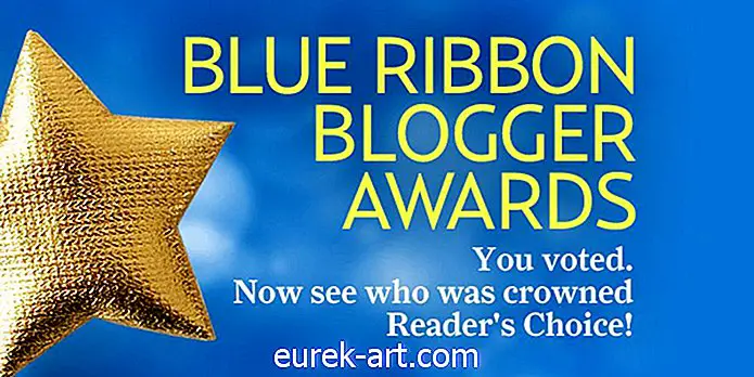 Panoramica dei Blue Ribbon Blogger Awards