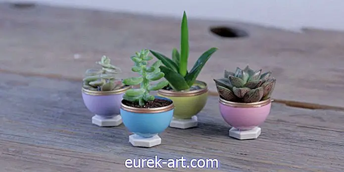 Mini Planters Succulent Ini Sebenarnya Terbuat Dari Plastik Telur Paskah
