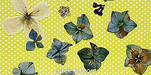 Vyskúšajte toto: Stlačením tlačidla Kvety pridajte do svojho domova krásu, dokonca aj technické zariadenia