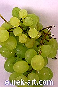 ремесел - Як зробити костюм з винограду