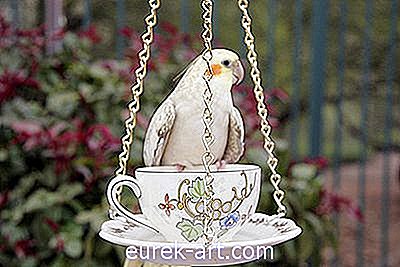 rzemieślnictwo - Jak zrobić karmnik dla ptaków z kubkiem herbaty