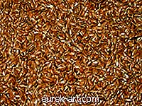 mestieri - Come asciugare l'olio di semi di lino bollito