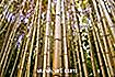 занаяти - Как се правят бамбукови продукти