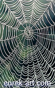 remeslá - Ako vytvoriť realistický pavučina