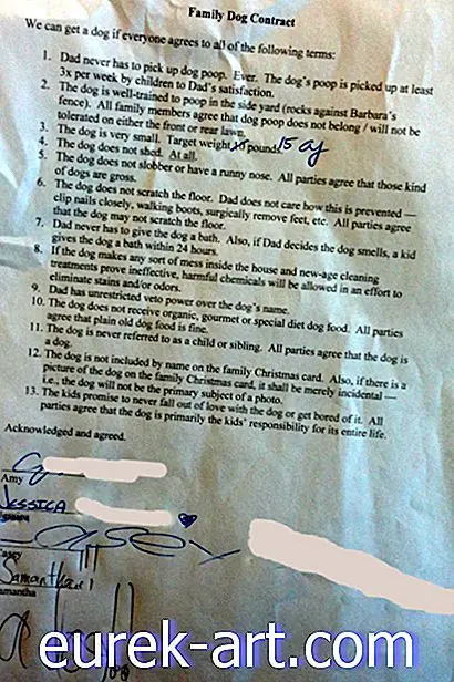 entretenido - Papá escribe un hilarante contrato de perro antes de permitir que sus hijos consigan un cachorro