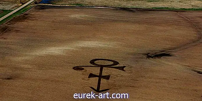 underholdning - Denne pensionerede landmand pløjede Prinsens symbol ind i hans felt for at ære det sene ikon