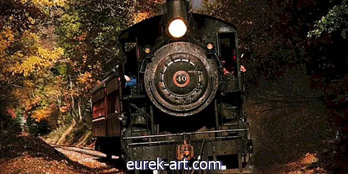 hiburan - Riding Haunted Train ini Secara Rasmi adalah Cara Terbaik untuk Merayakan Halloween