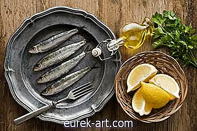 mad og drikke - Forskel mellem ansjoser og sardiner