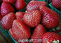 Tips til skæring af jordbær til frugtbakker