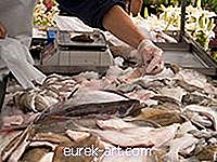 jedlo a pitie - Ako zmraziť čerstvého tuniaka