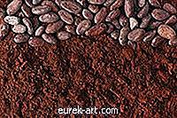 Che cos'è la polvere di cacao alcalinizzata?