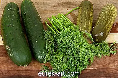 mat & dryck - Hur man gör enkla dill pickles i en 5-gallon hink