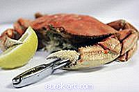 mad og drikke - Sådan transporteres live krabber