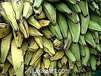 étel ital - A plantain banán típusai