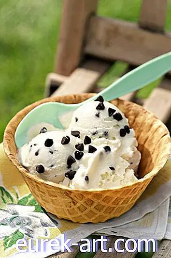 Najboljši vaniljev sladoled