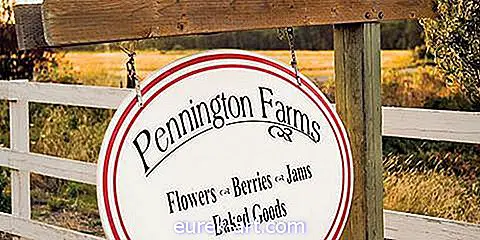 Pennington Berry Çiftliği