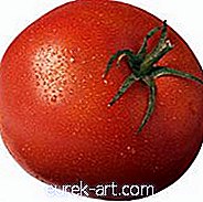 Essen & Getränke - Tomatensalsa