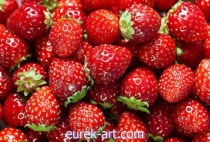 16 lõbusat fakti peaksid kõik maasikasõbrad teadma