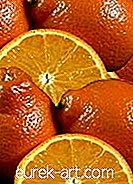 Frisches Mandarineneis