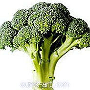 cibo e bevande - Insalata di ceci e broccoli