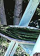 Szparagi na parze z cytryną