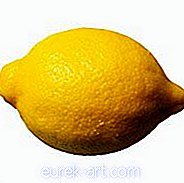 Zitronen-Pfeffer-Schweinelende